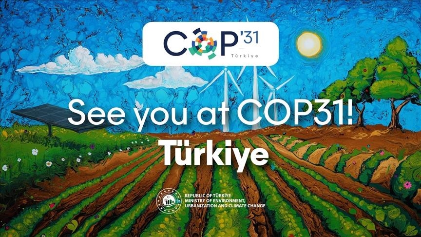 https://cop31.co.uk/